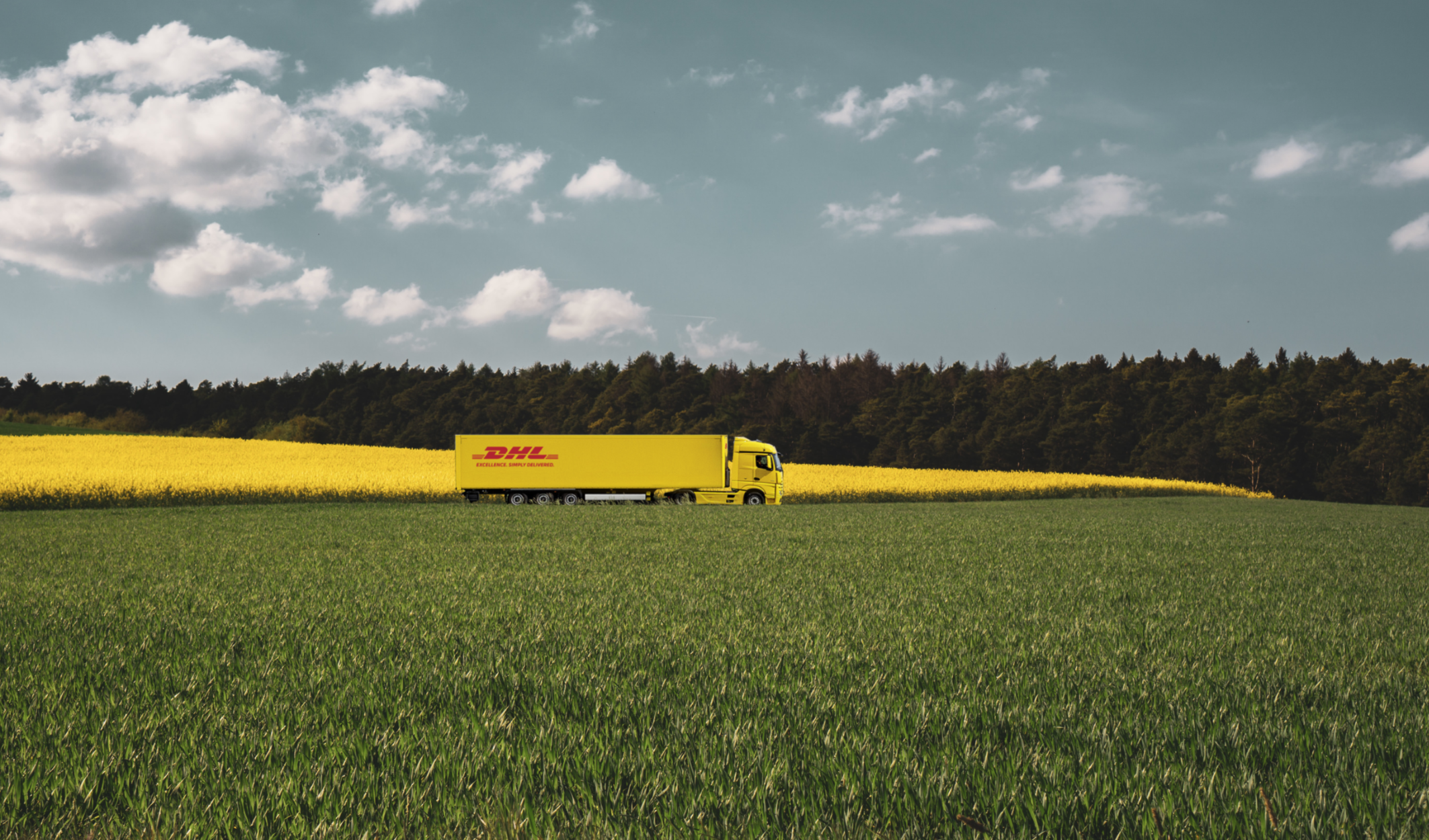 dhl skicka grönt